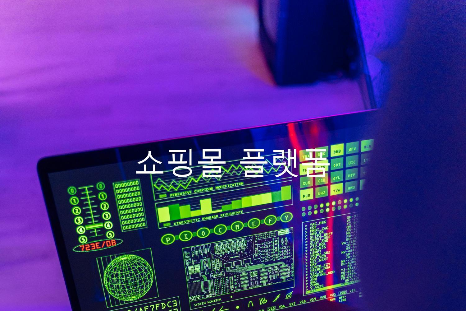 쇼핑몰 플랫폼