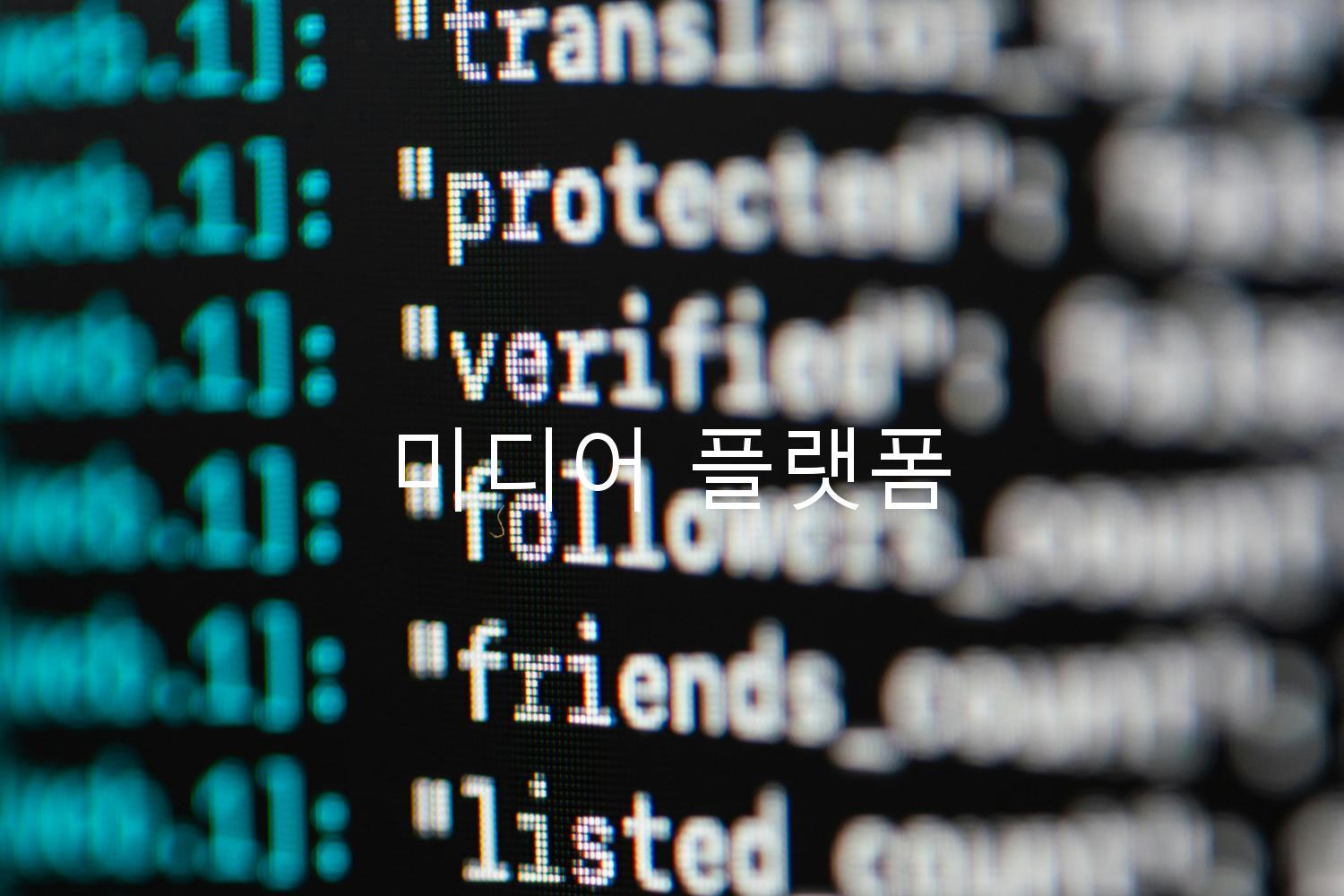 미디어 플랫폼