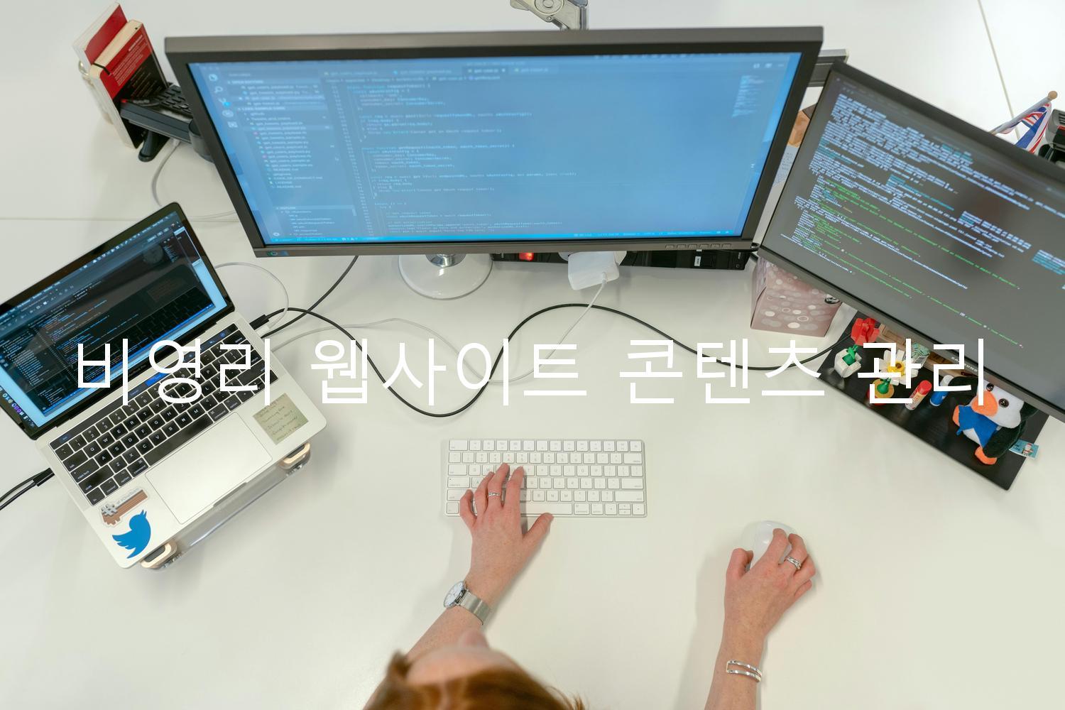 비영리 웹사이트 콘텐츠 관리