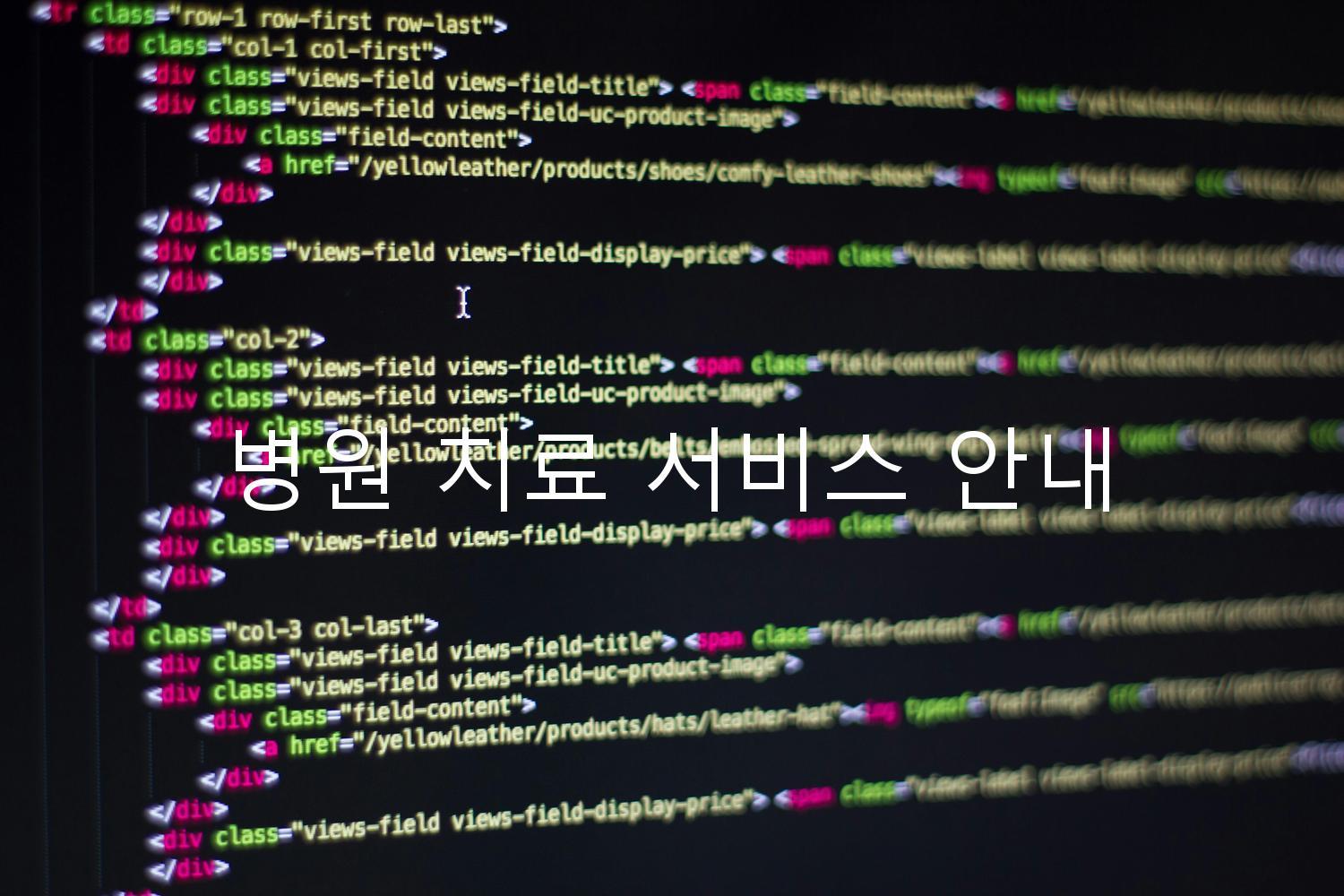 병원 치료 서비스 안내