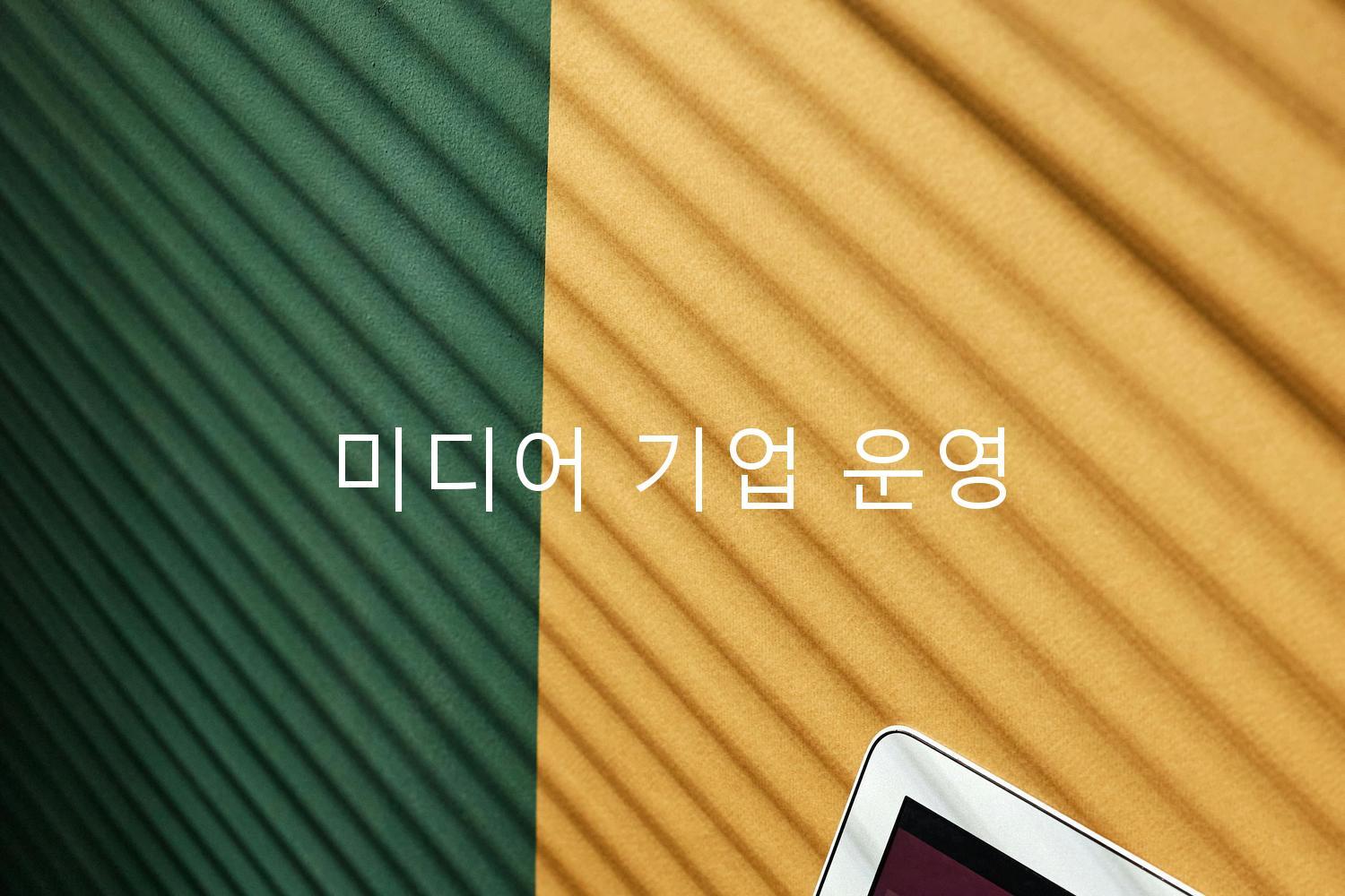 미디어 기업 운영