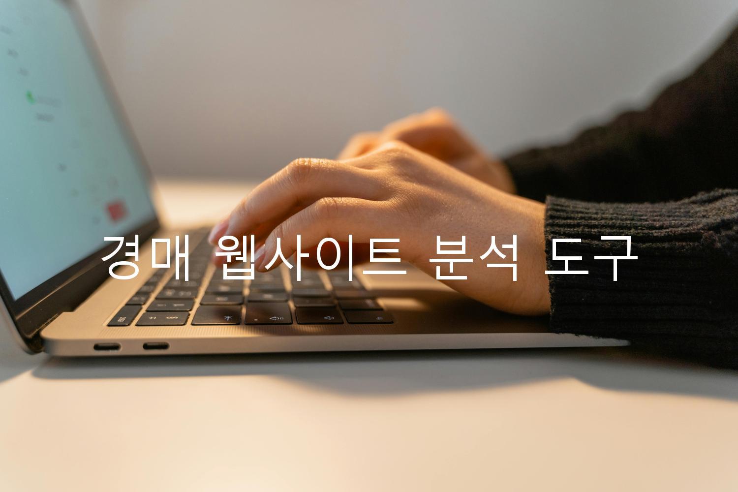 경매 웹사이트 분석 도구
