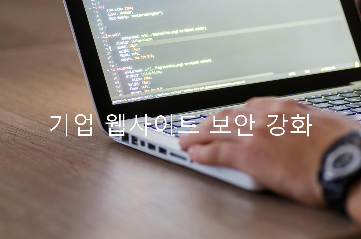 기업 웹사이트 보안 강화