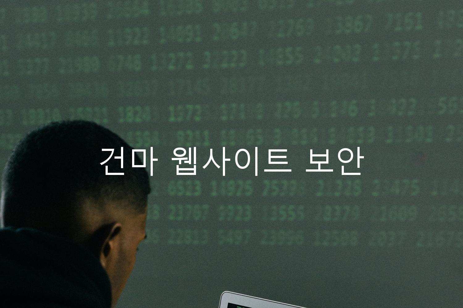 건마 웹사이트 보안