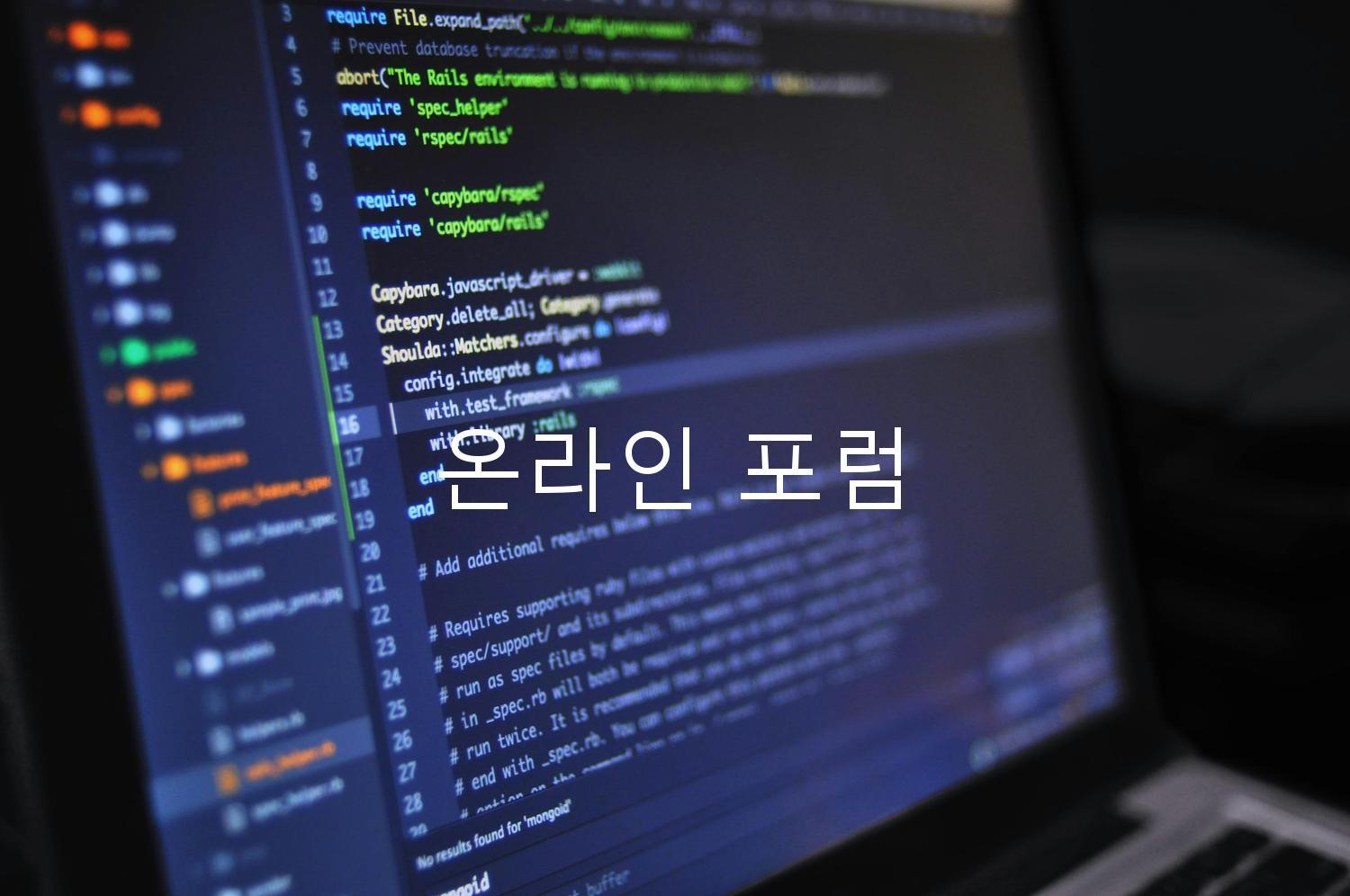 온라인 포럼