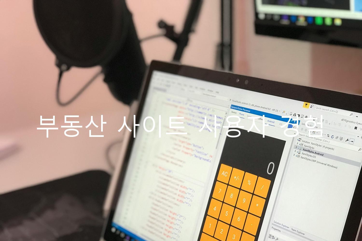부동산 사이트 사용자 경험