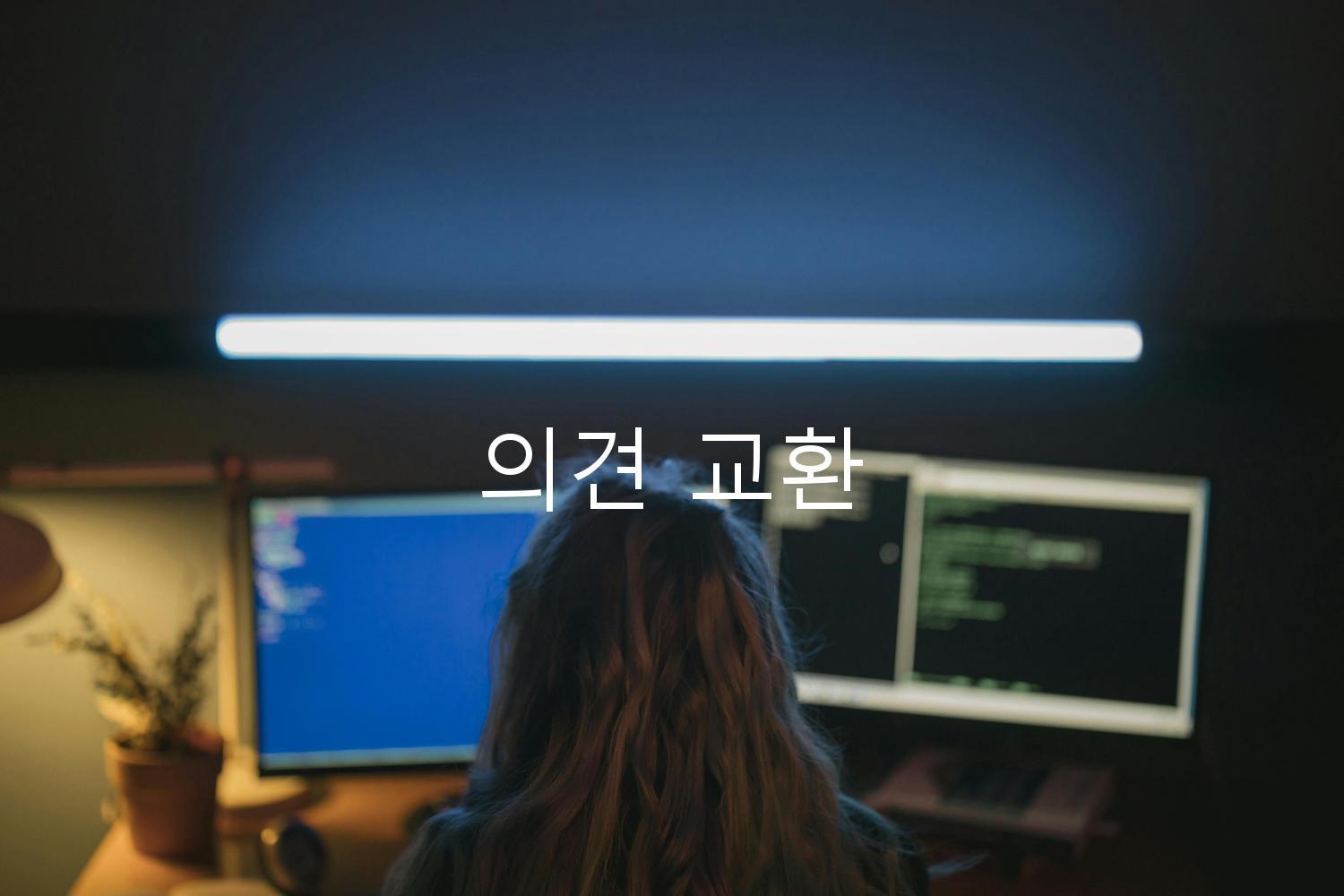 의견 교환