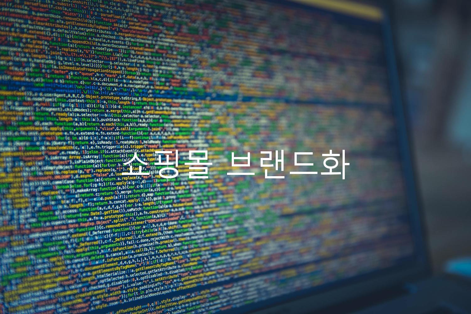 쇼핑몰 브랜드화