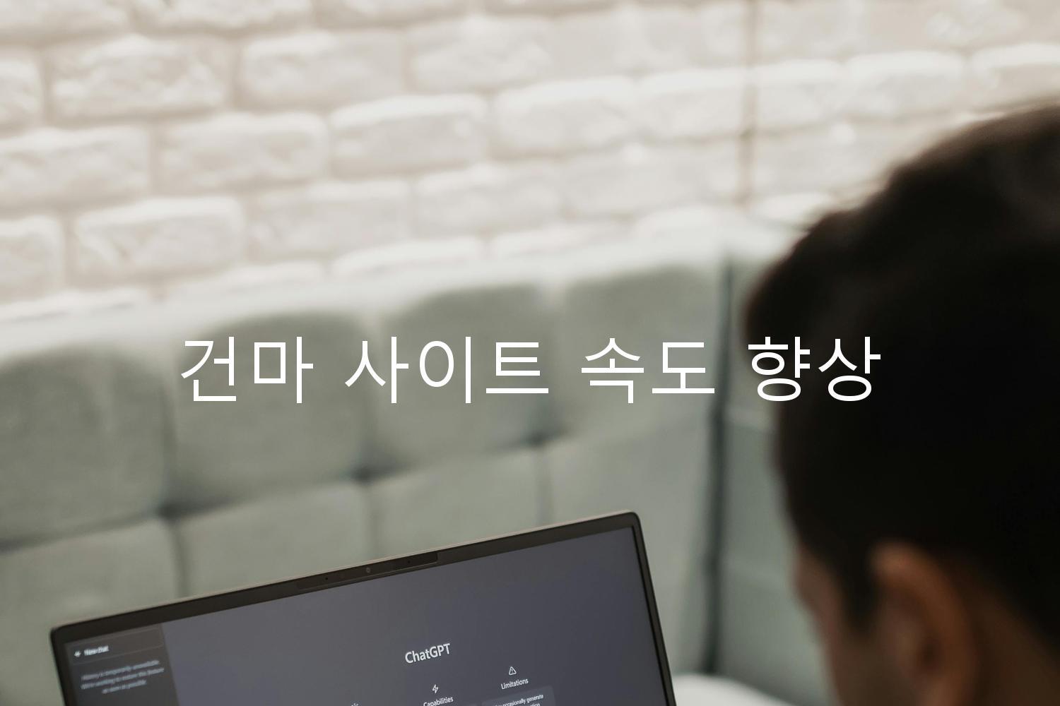 건마 사이트 속도 향상