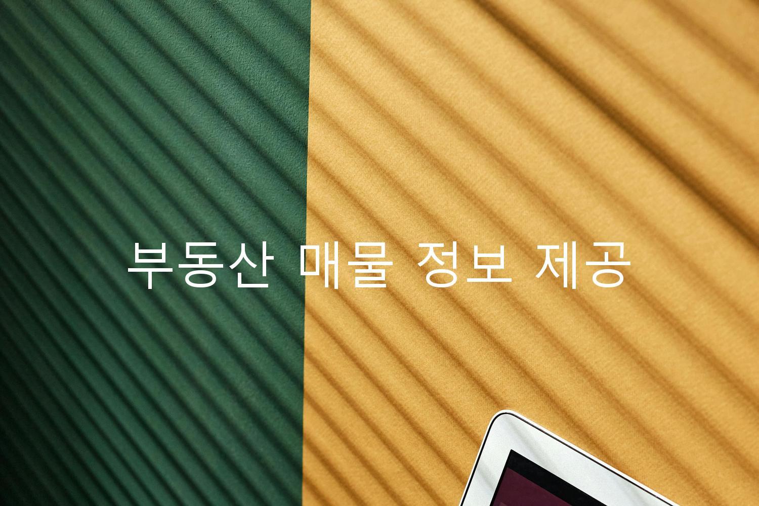 부동산 매물 정보 제공
