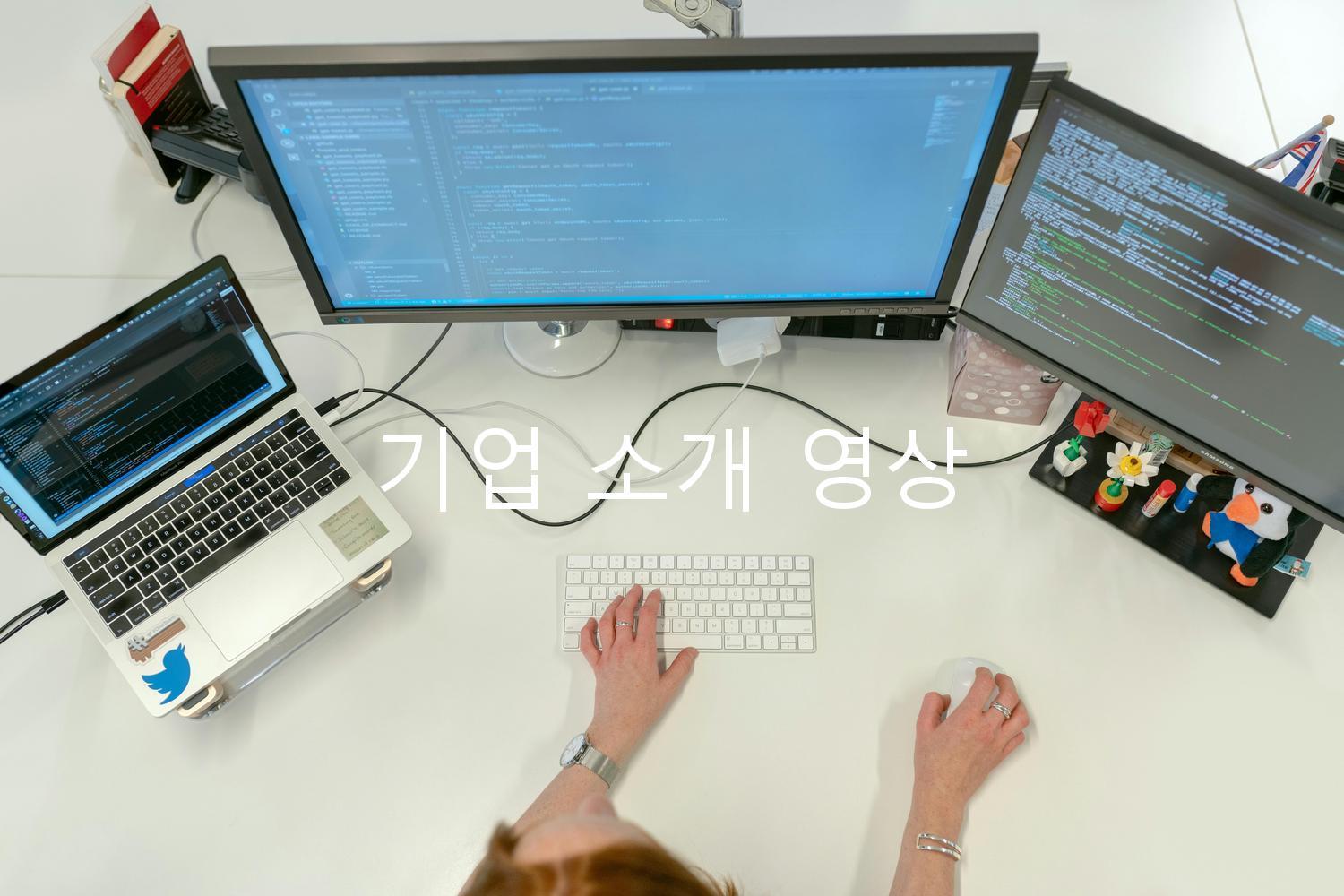 기업 소개 영상