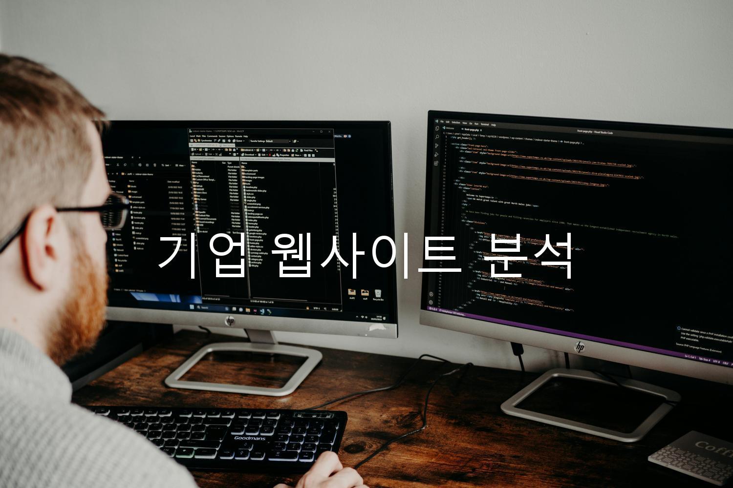 기업 웹사이트 분석