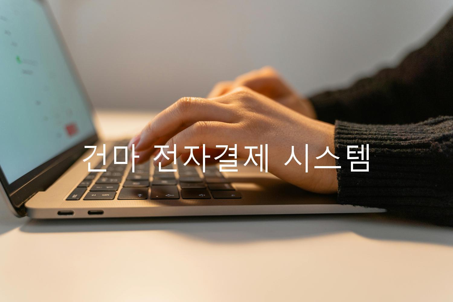 건마 전자결제 시스템