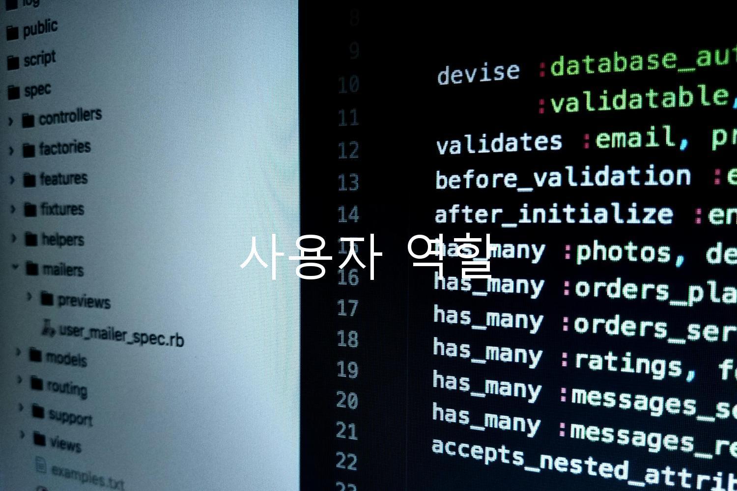 사용자 역할