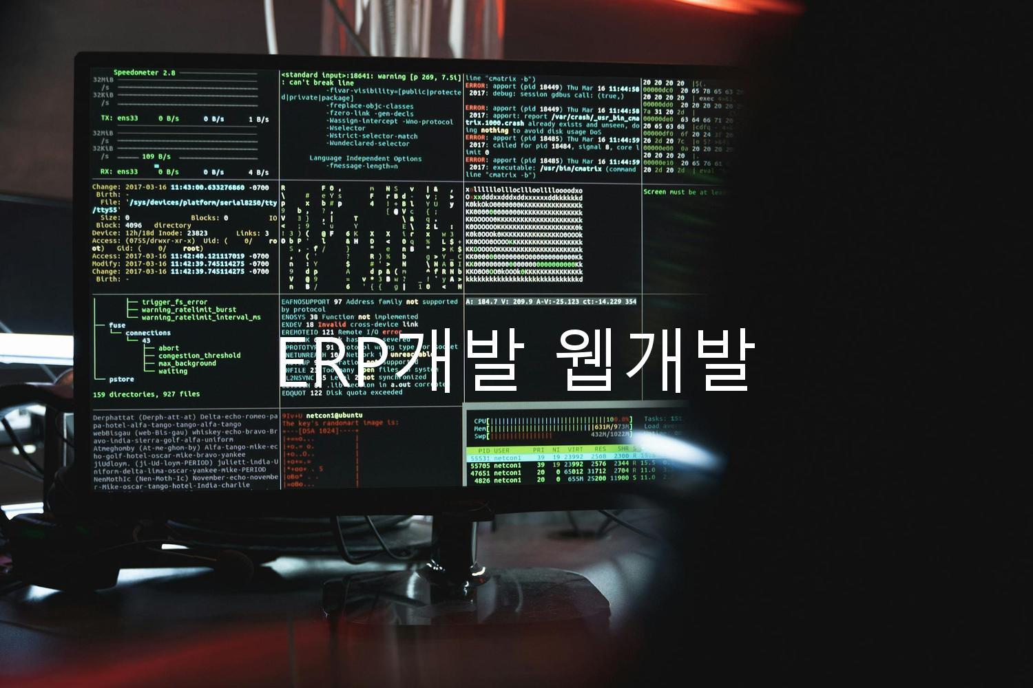 ERP개발 웹개발