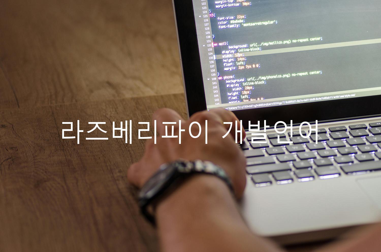 라즈베리파이 개발언어