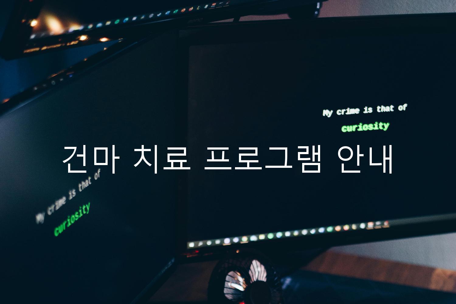 건마 치료 프로그램 안내