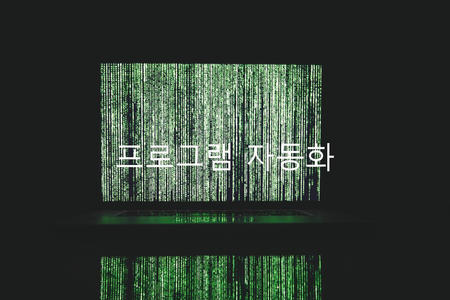 프로그램 자동화