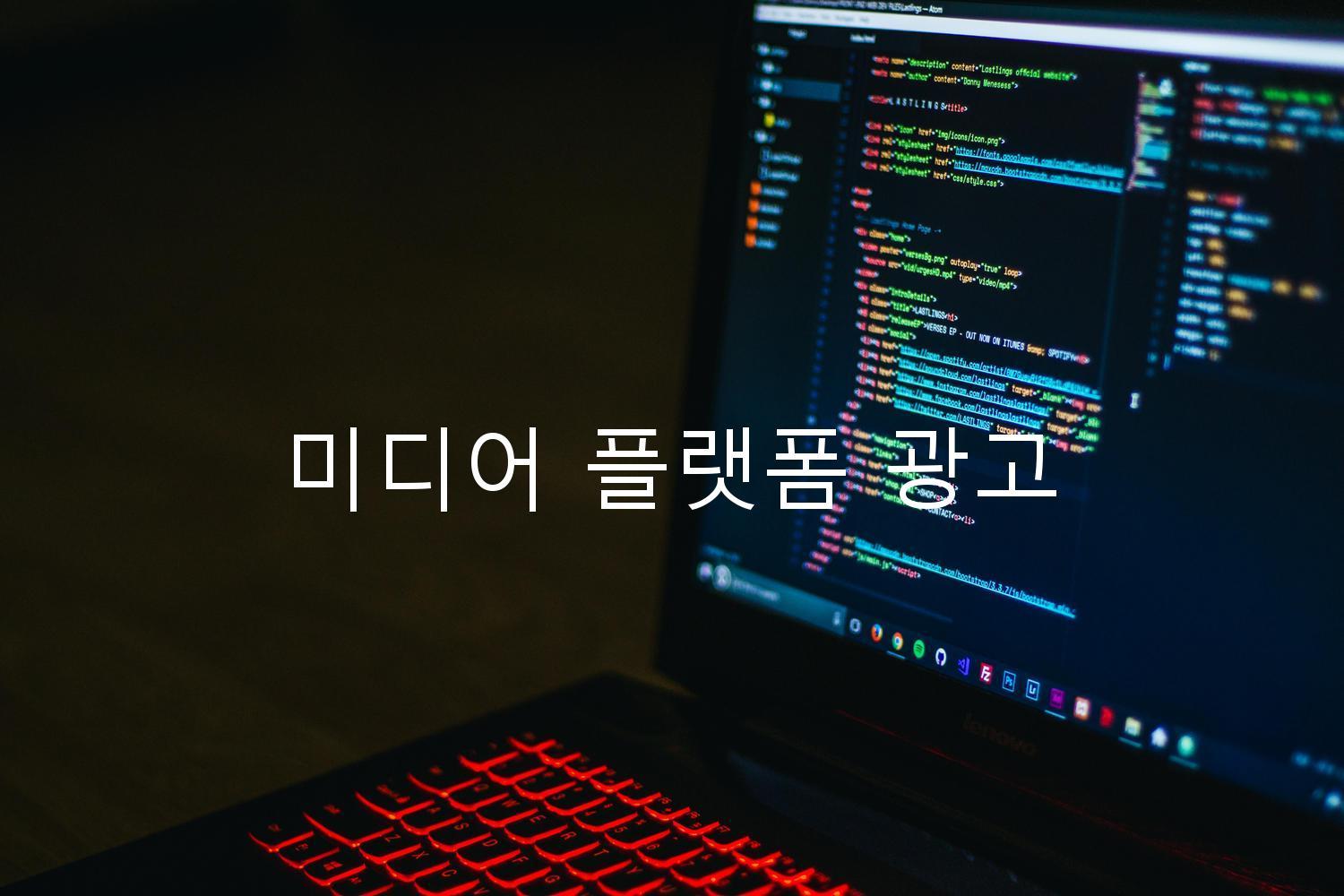 미디어 플랫폼 광고