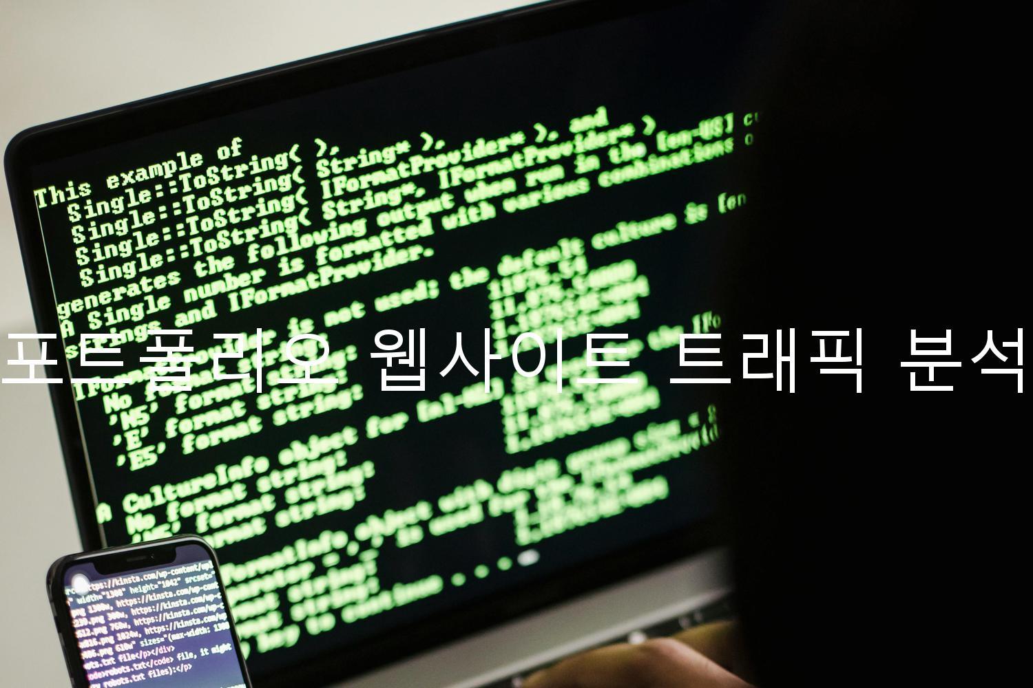 포트폴리오 웹사이트 트래픽 분석