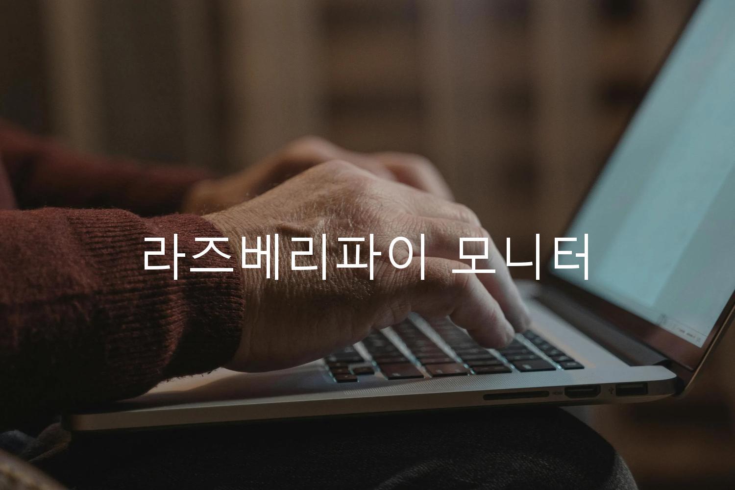 라즈베리파이 모니터