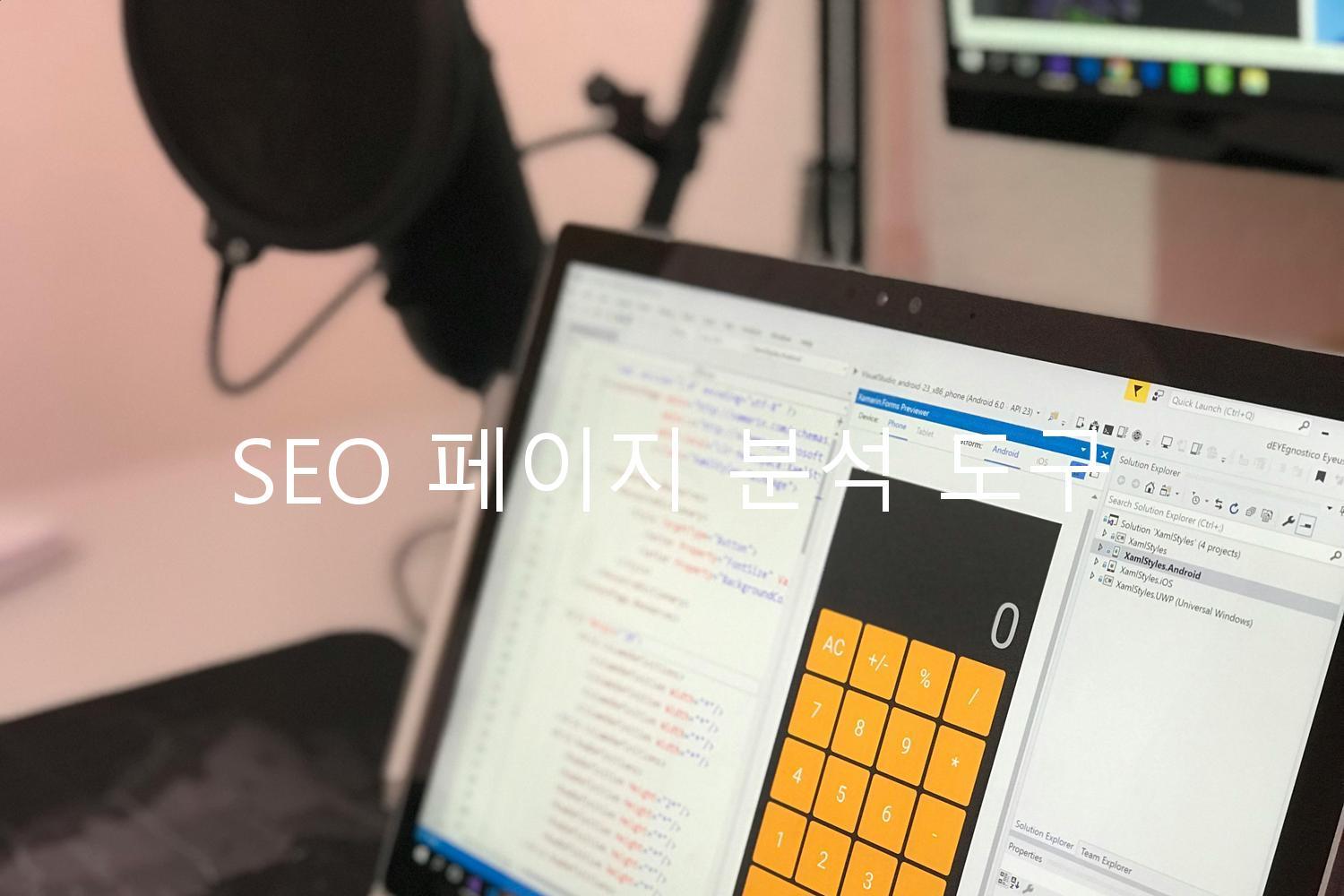 SEO 페이지 분석 도구