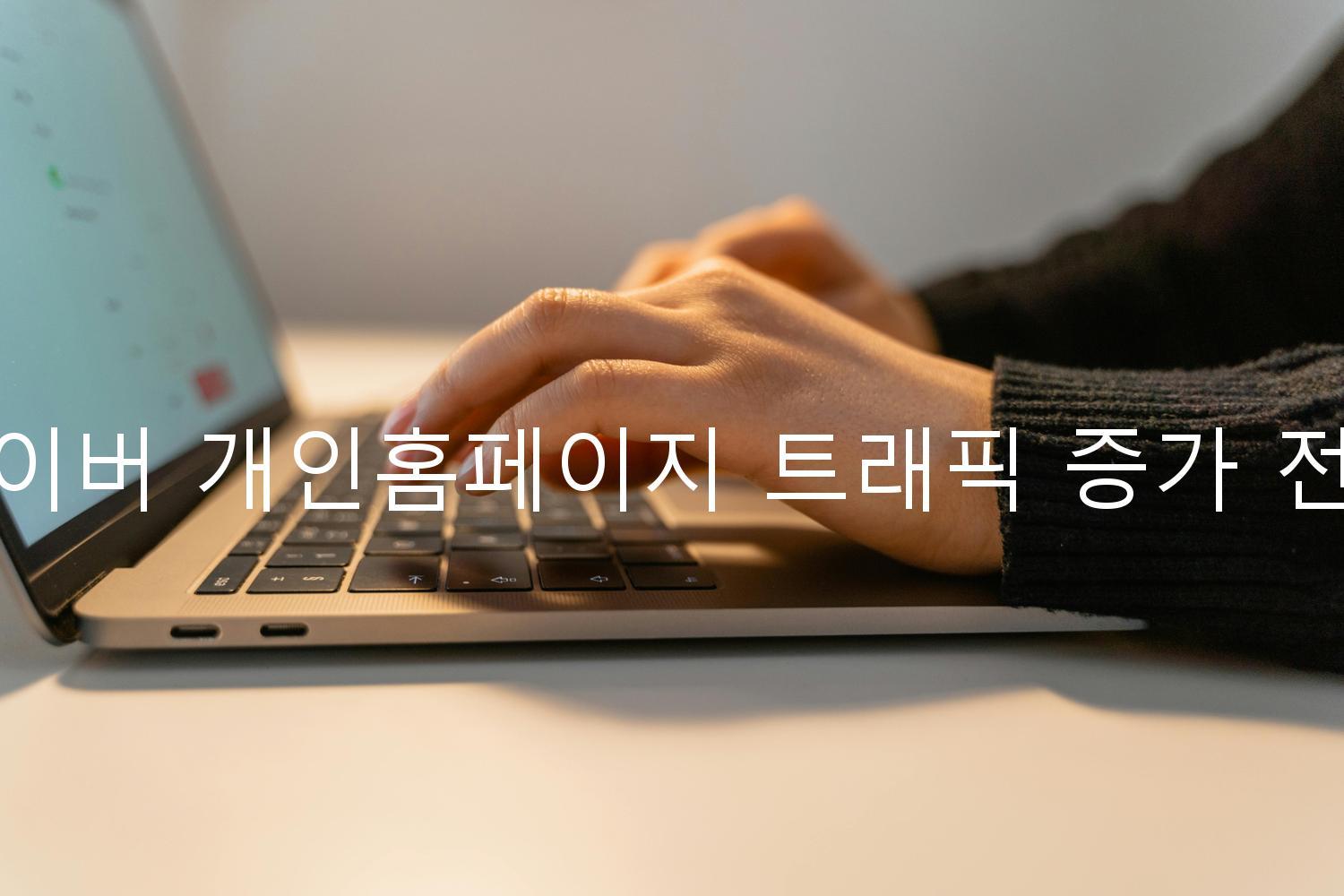 네이버 개인홈페이지 트래픽 증가 전략