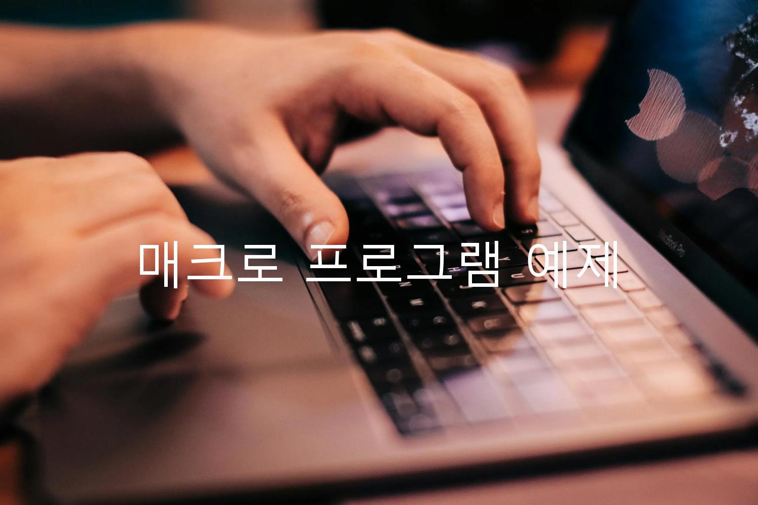 매크로 프로그램 예제