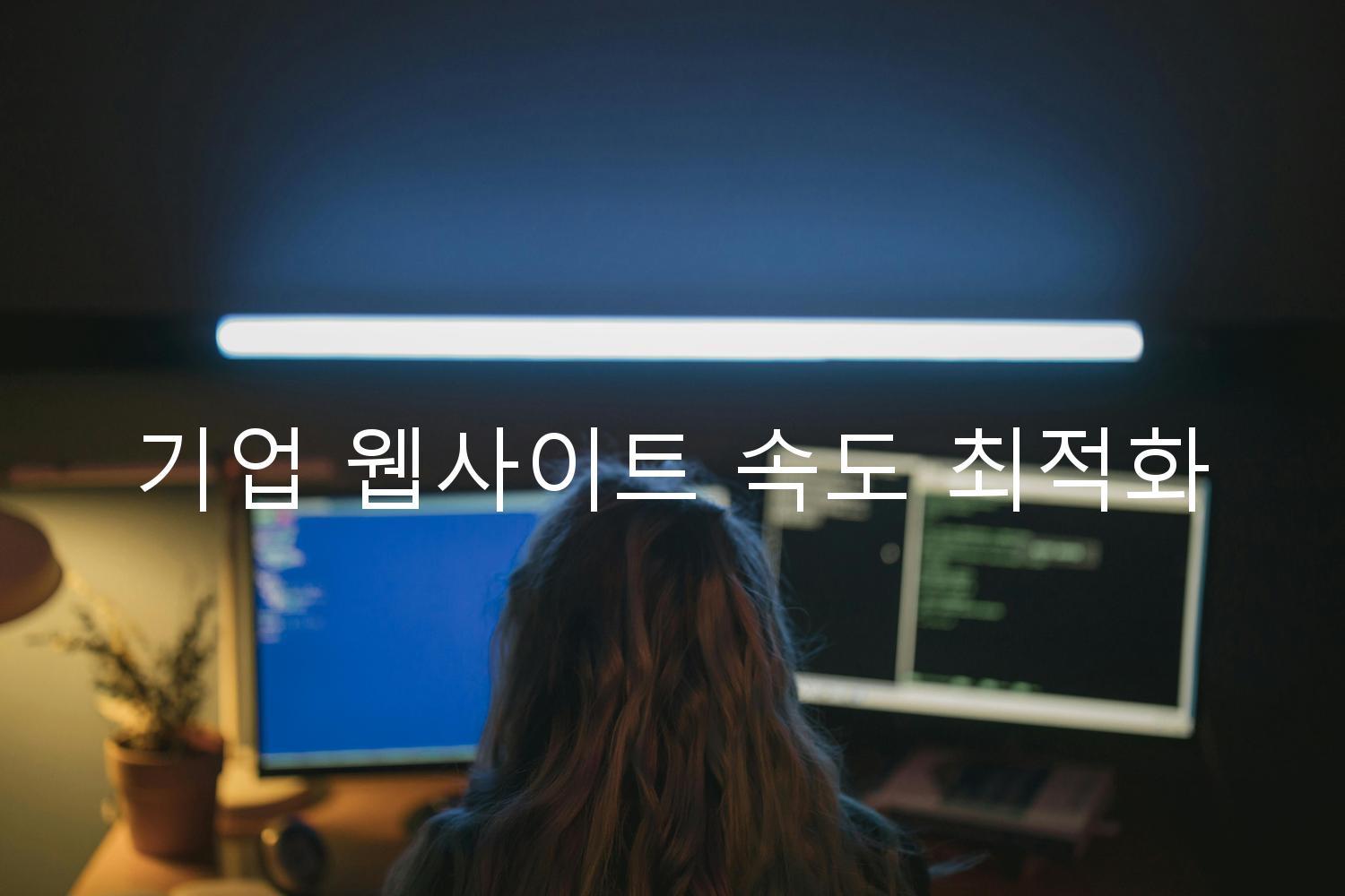 기업 웹사이트 속도 최적화