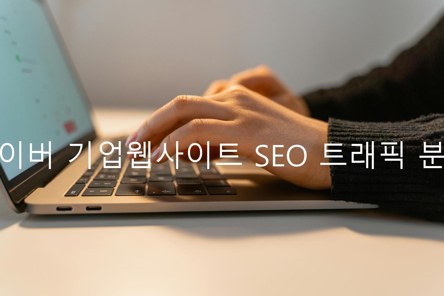 네이버 기업웹사이트 SEO 트래픽 분석