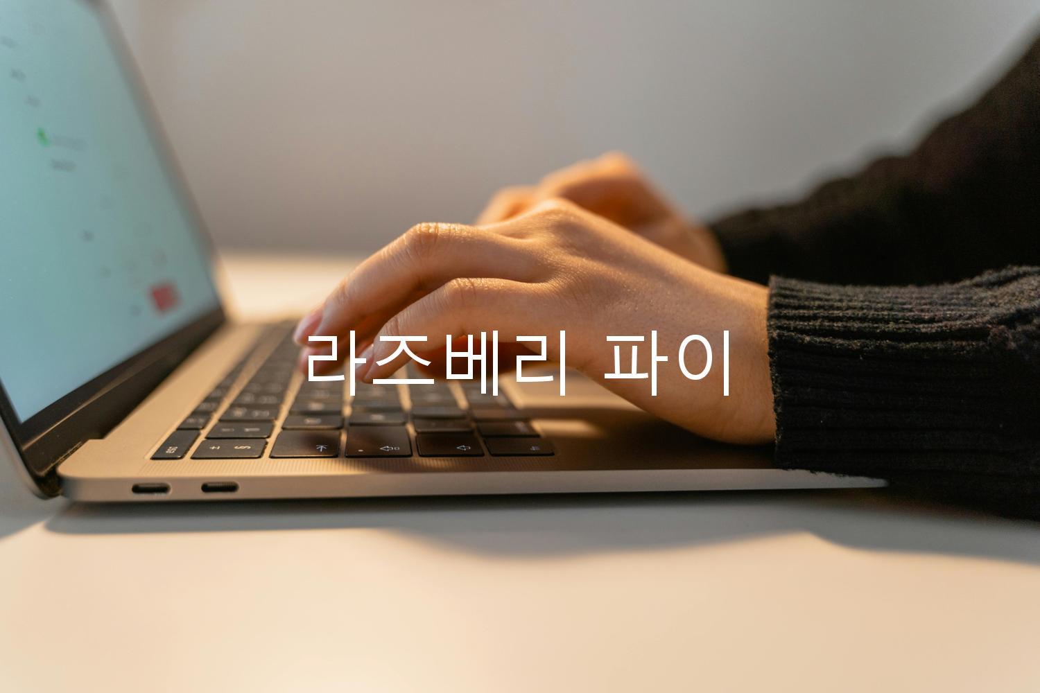 라즈베리 파이