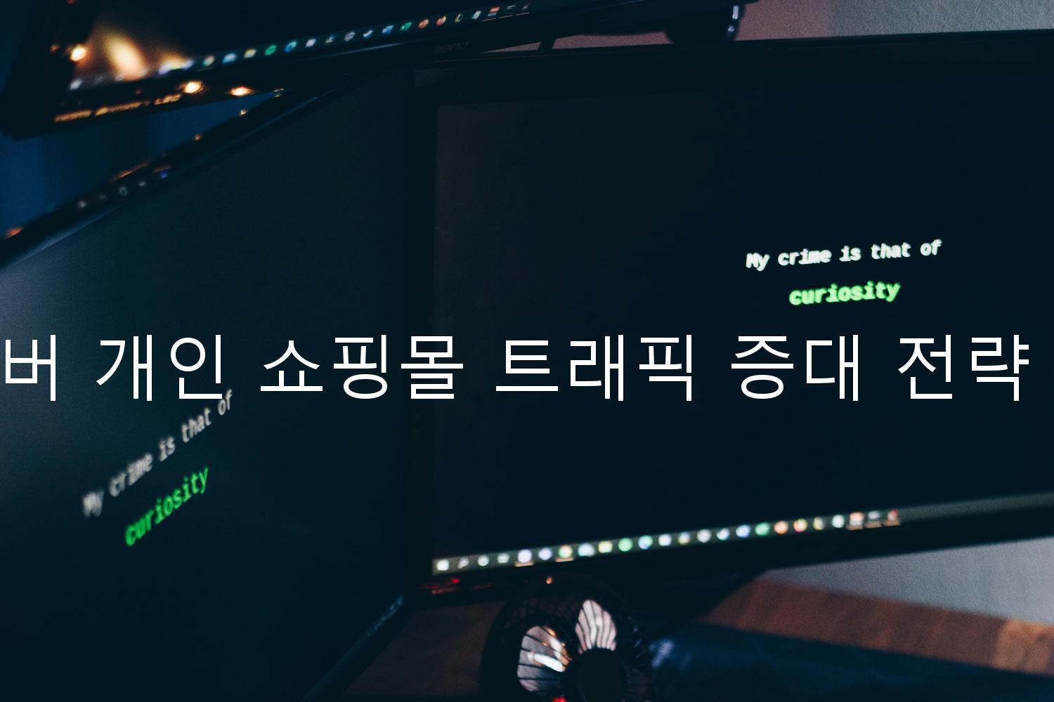 네이버 개인 쇼핑몰 트래픽 증대 전략 수립