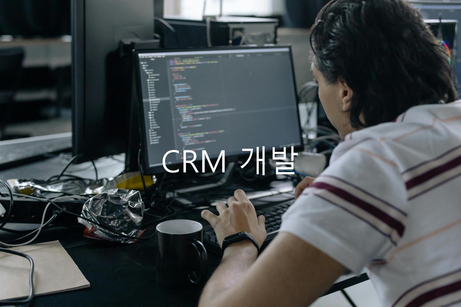 CRM 개발