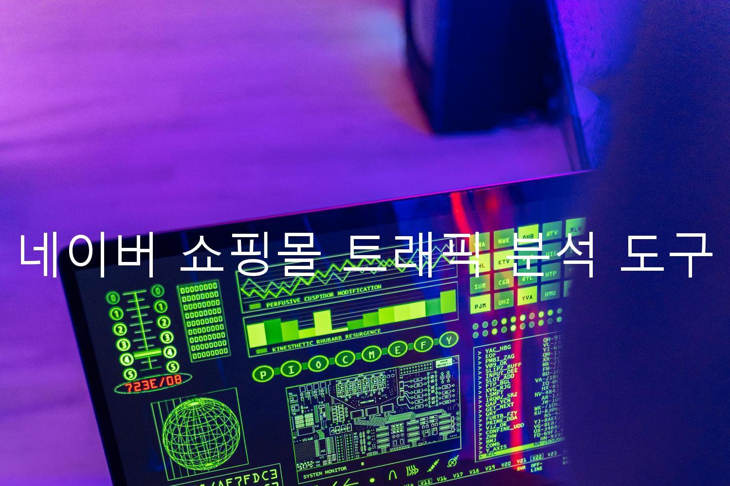 네이버 쇼핑몰 트래픽 분석 도구