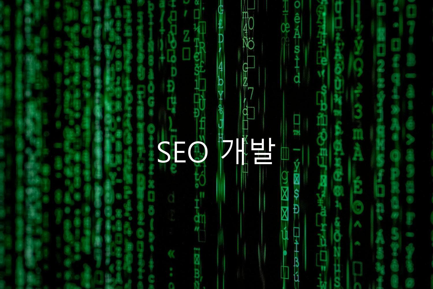 SEO 개발