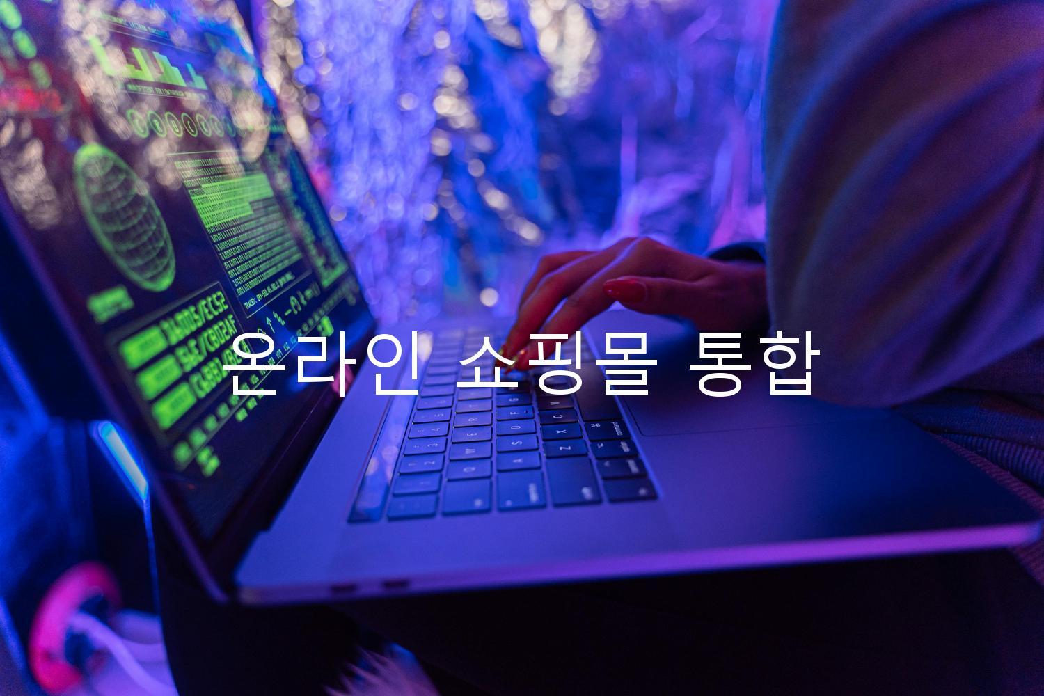 온라인 쇼핑몰 통합