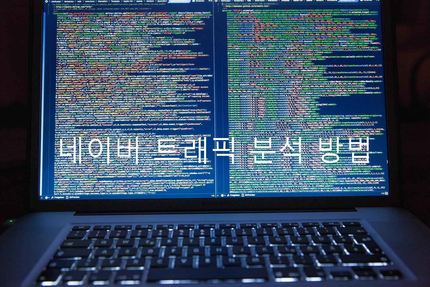 네이버 트래픽 분석 방법