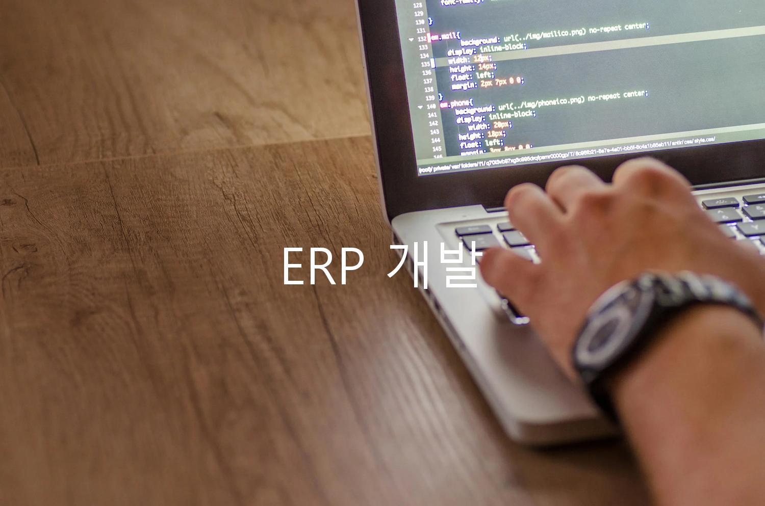 ERP 개발