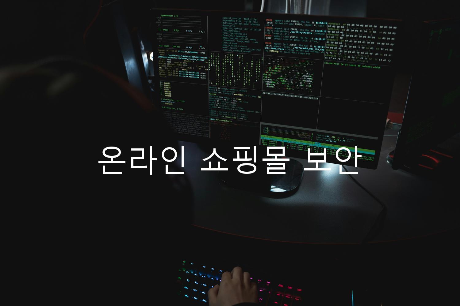 온라인 쇼핑몰 보안