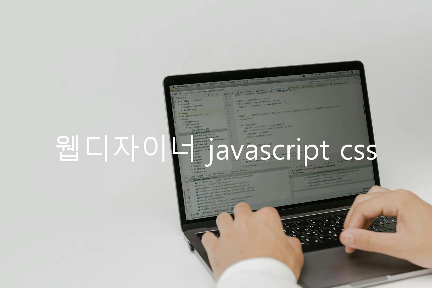 웹디자이너 javascript css