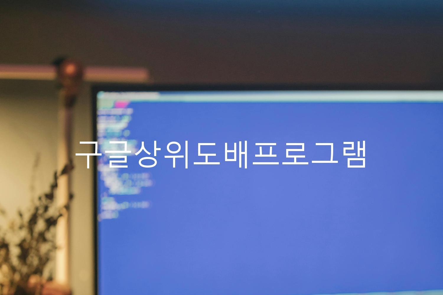 구글상위도배프로그램