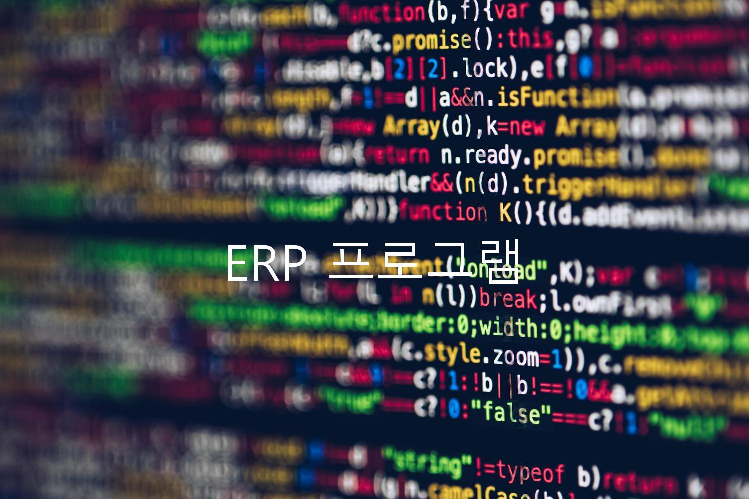 ERP 프로그램