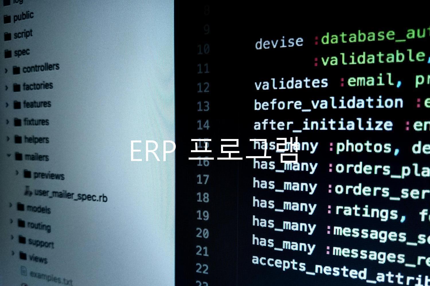 ERP 프로그램