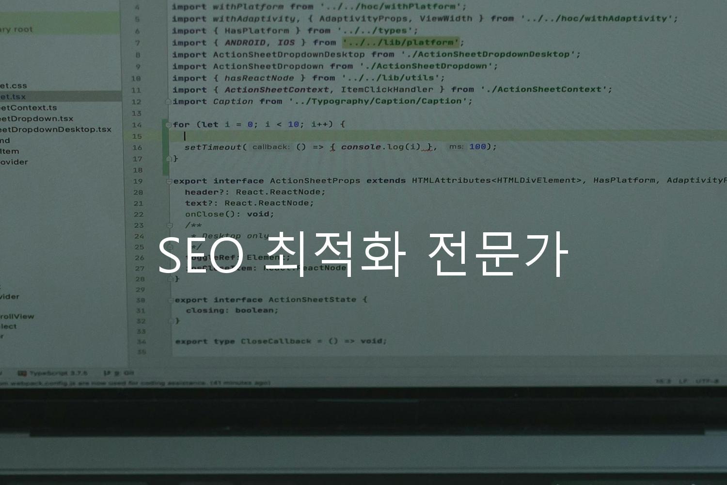 SEO 최적화 전문가