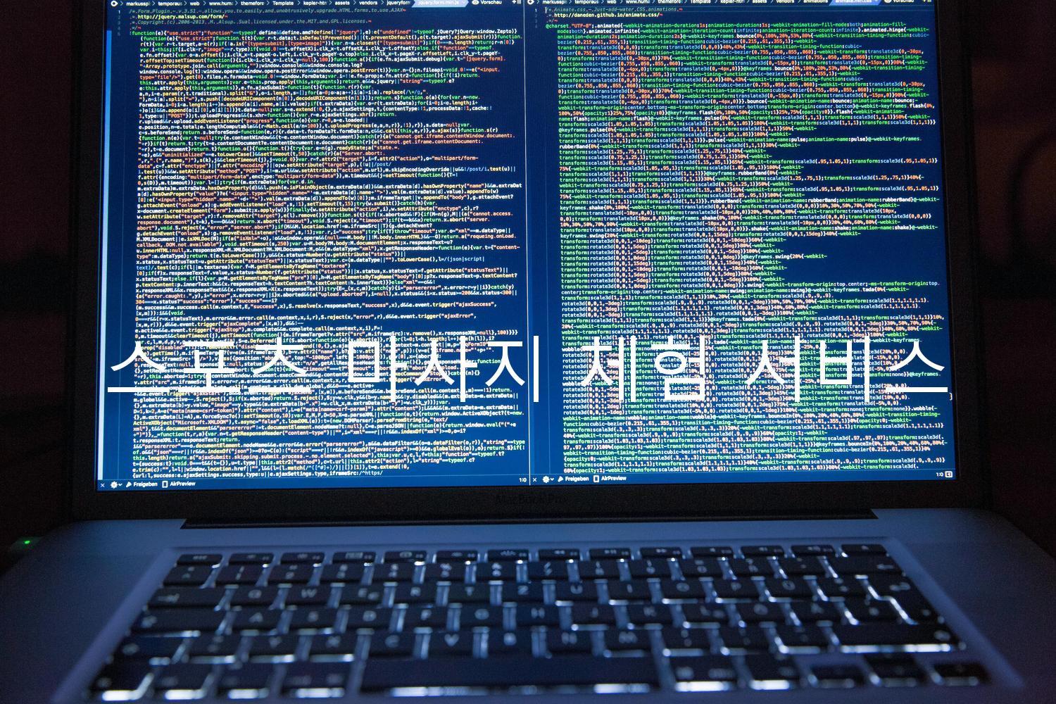 스포츠 마사지 체험 서비스