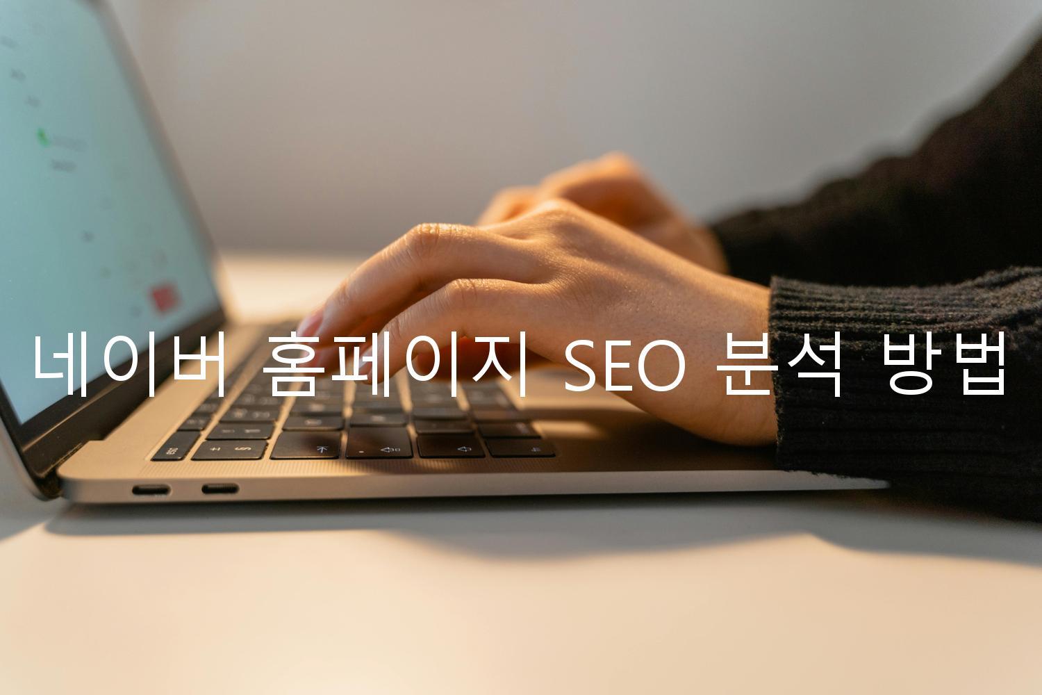 네이버 홈페이지 SEO 분석 방법