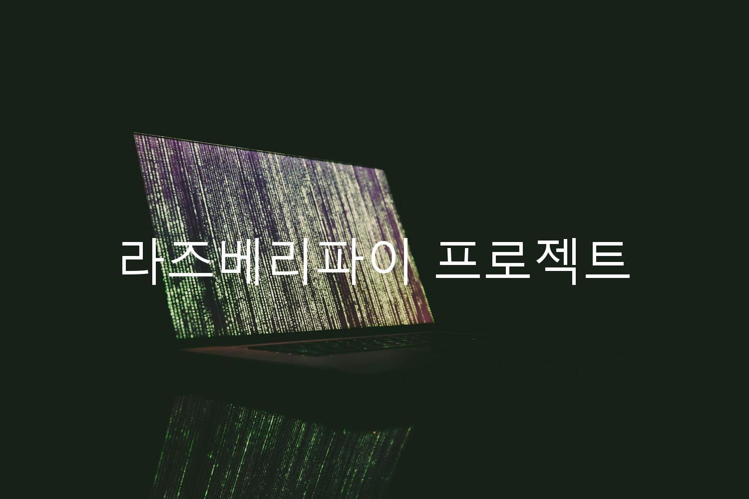 라즈베리파이 프로젝트