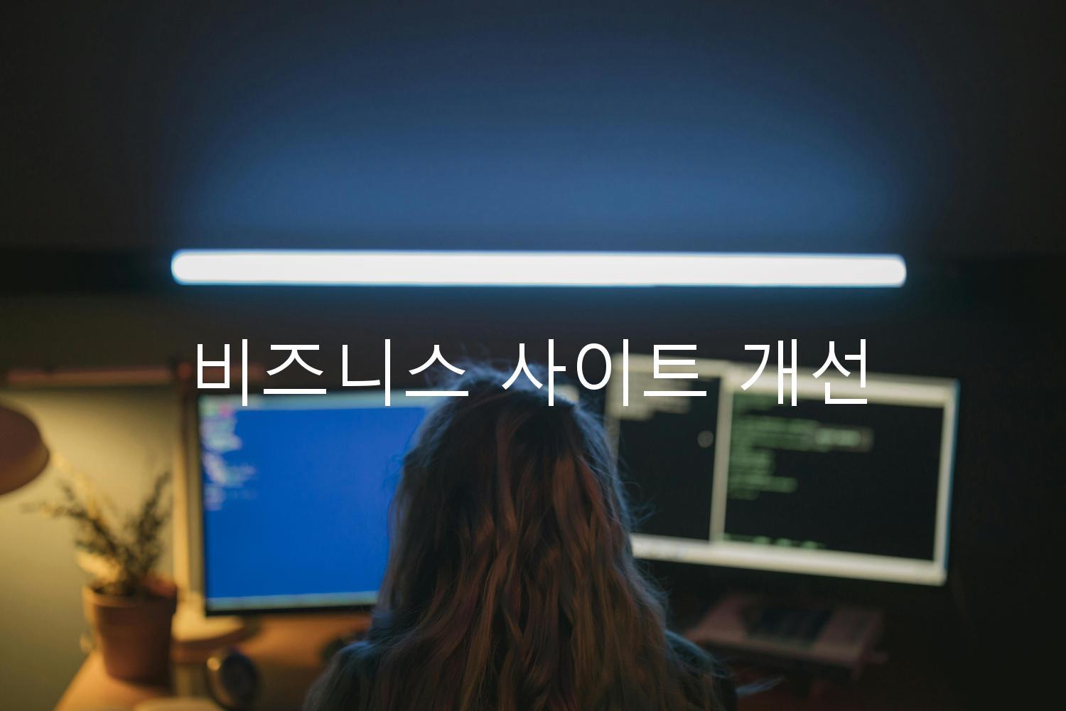 비즈니스 사이트 개선