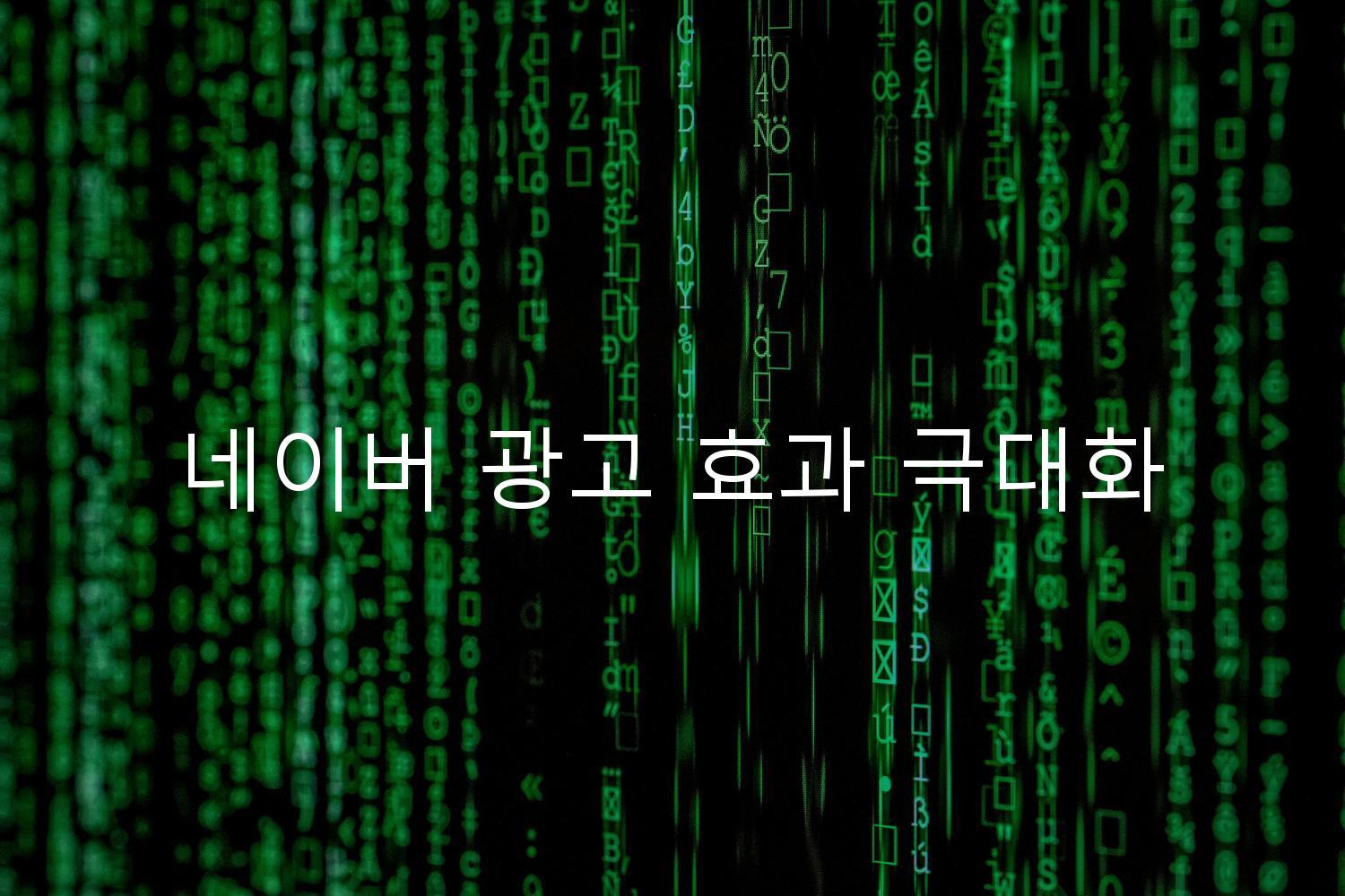 네이버 광고 효과 극대화