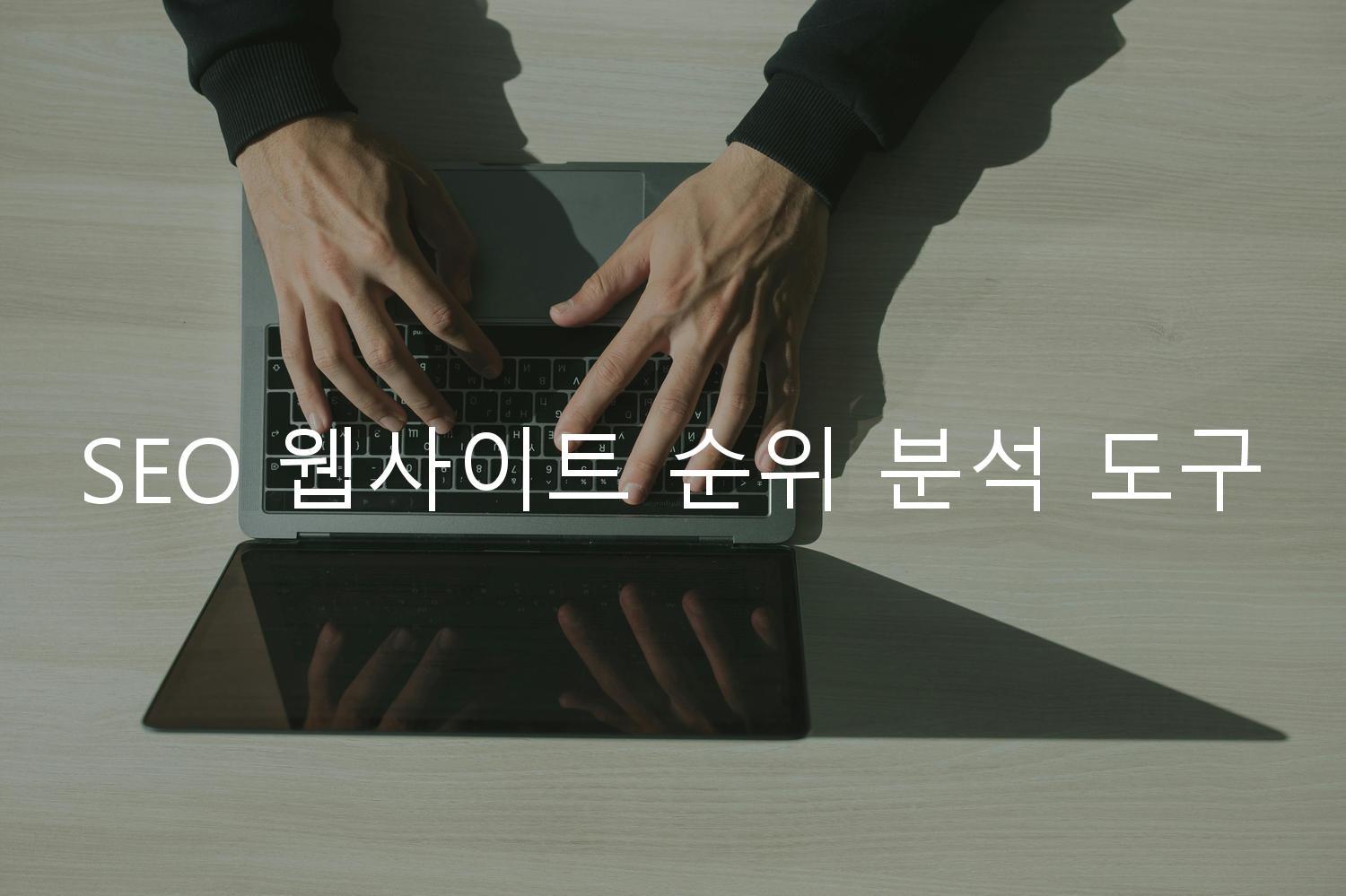 SEO 웹사이트 순위 분석 도구